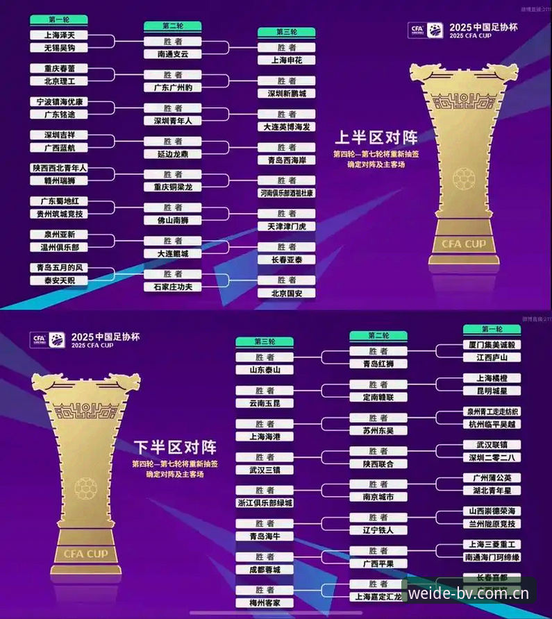 法网抽签解读与赛事追踪操作教程：中国金花签运分析
